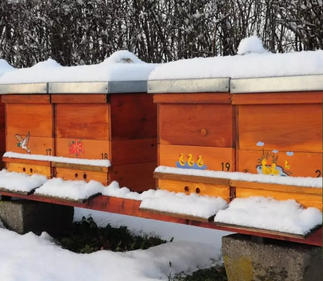 Bienenstand im Schnee